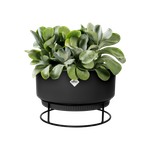 b.for studio schale 30cm living schwarz